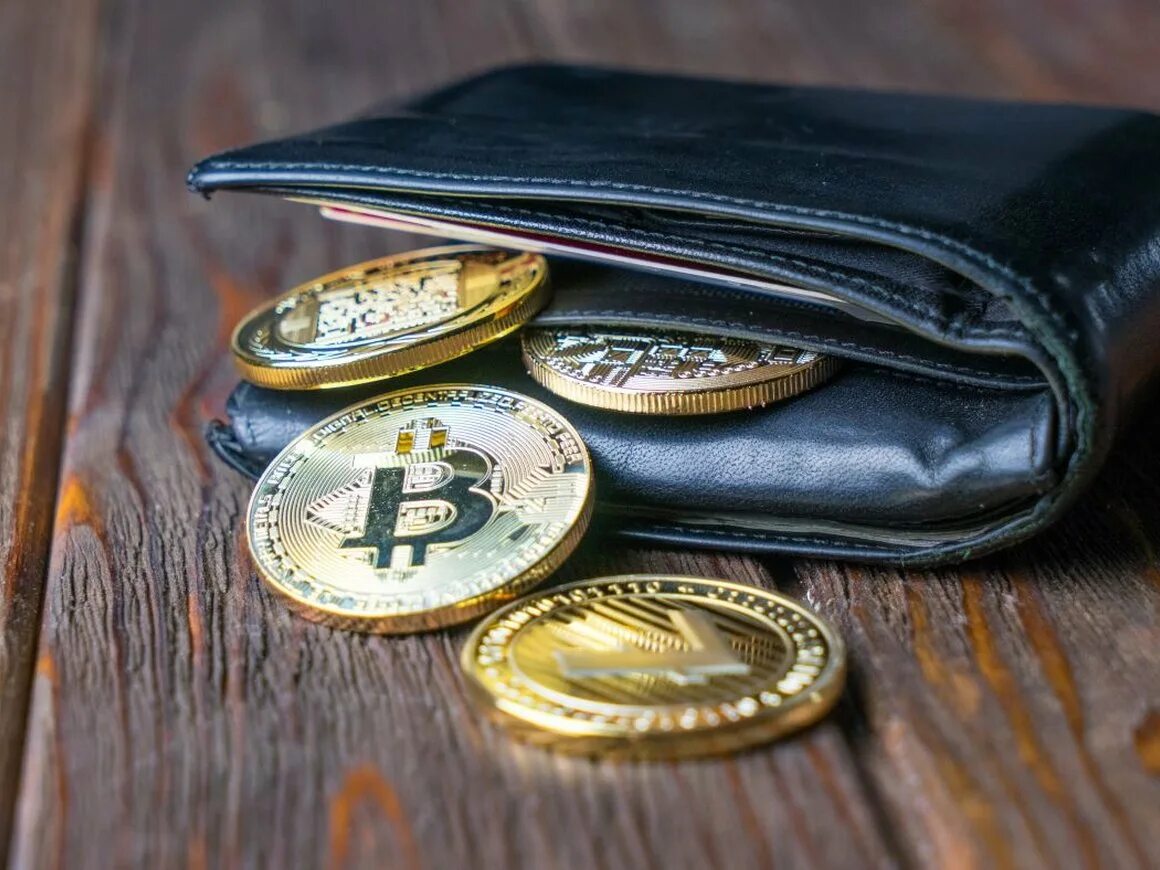 Billetera Criptográfica: ¿por qué es necesaria y cómo crear una?